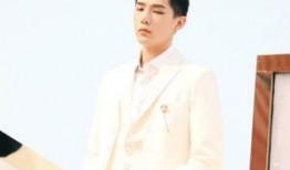 王安宇最新爆料跨年视频,年度精彩瞬间大盘点