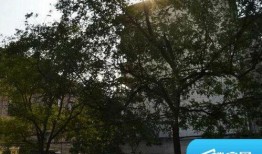 玉桂园小区最新爆料,揭秘神秘事件背后的真相